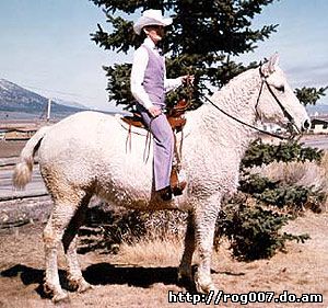 американский кучерявый башкир, породы лошадей, фото, фотография